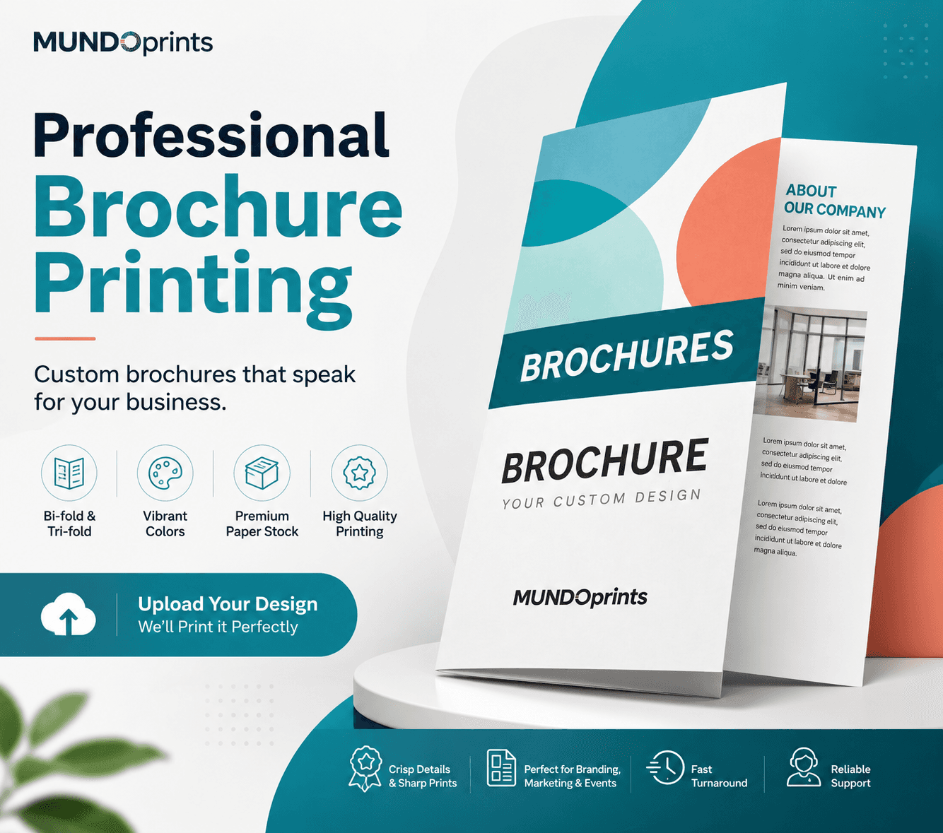 Brochures